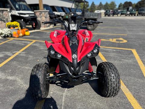 2027 Can-Am Renegade 110 EFI ATV
